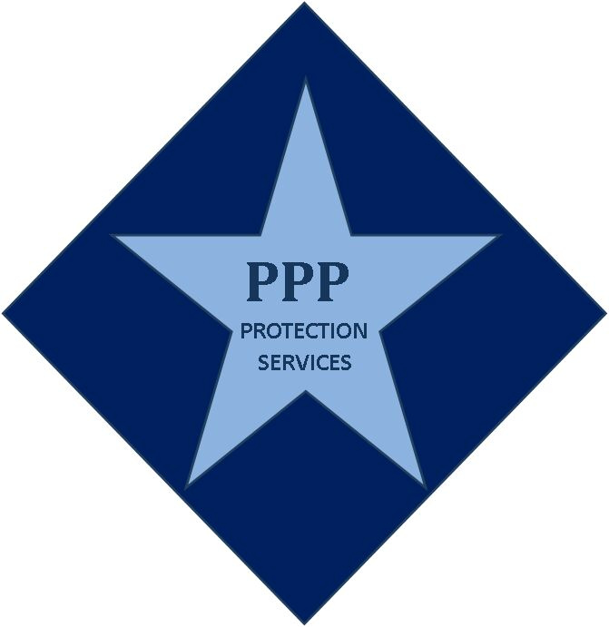 Picture1 company logo